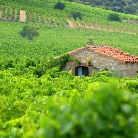Chambres d'Hôtes et Gîtes- L'Abri sous Roche Tautavel Extérieur photo