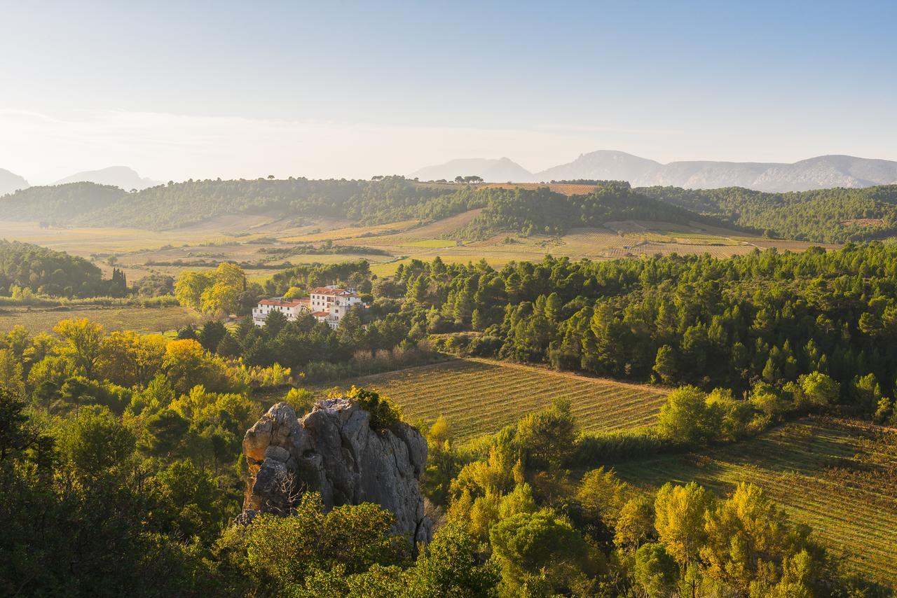 Chambres d'Hôtes et Gîtes- L'Abri sous Roche Tautavel Extérieur photo